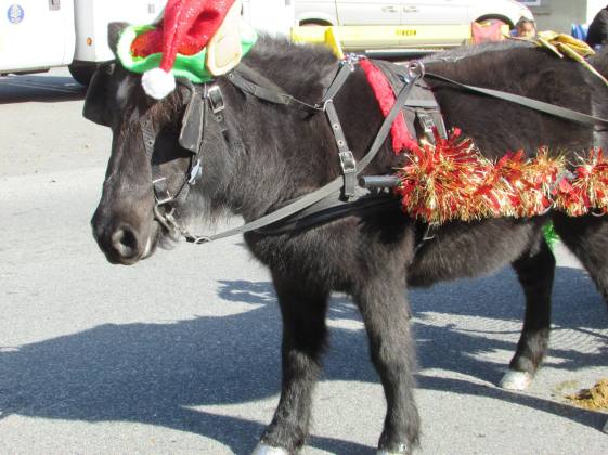 12248056_1124847024200042_1748388257384930887_o